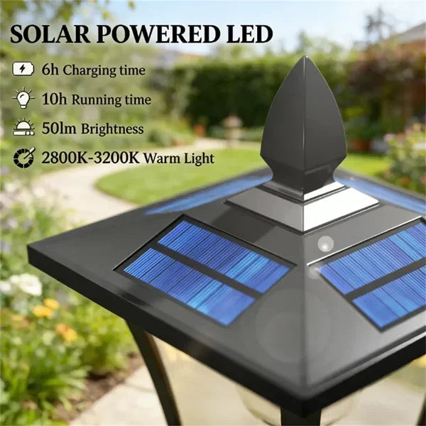 Solar light set with flower pot, soft glow, black design